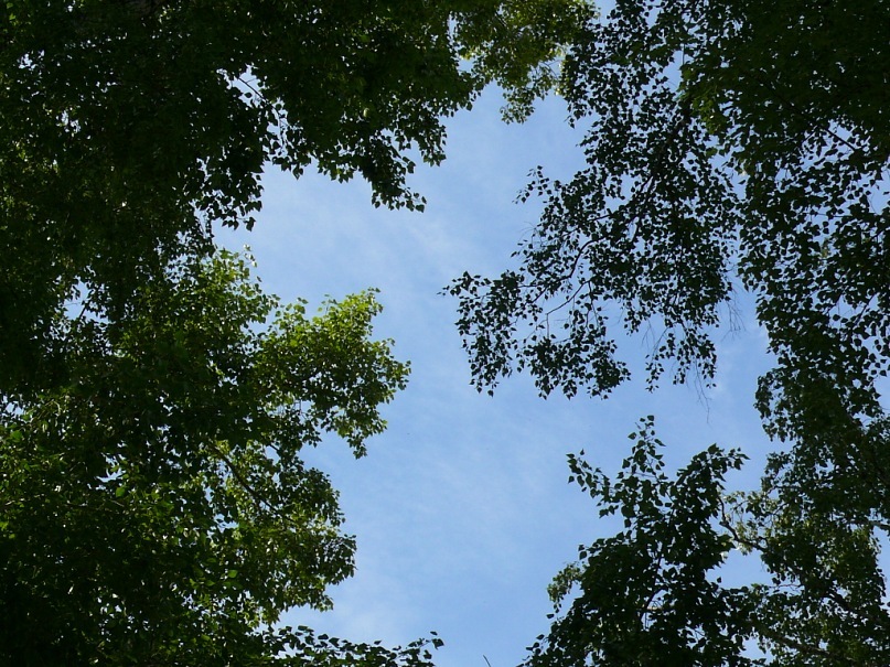 Олег Пуряев фотография #27