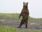 Фотография Ворожцова Бориса