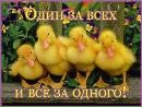 Вікуська Мелайка фотография #3 (источник - https://vk.com/id167347410)