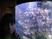 Фотография Деревянко Ольги