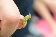 Андрій Світлицький фотография #16 (источник - https://vk.com/id2321783)