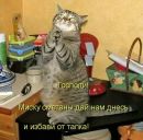 Фотография Пня Ясеня