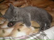 Фотография Марковой Оленьки