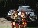 Фотография Мартынова Александра