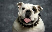 Тарас Мілованов фотография #43 (источник - https://vk.com/id76539552)