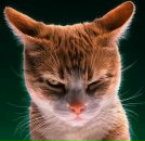 Фотография Моргунова Андрея Борисовича