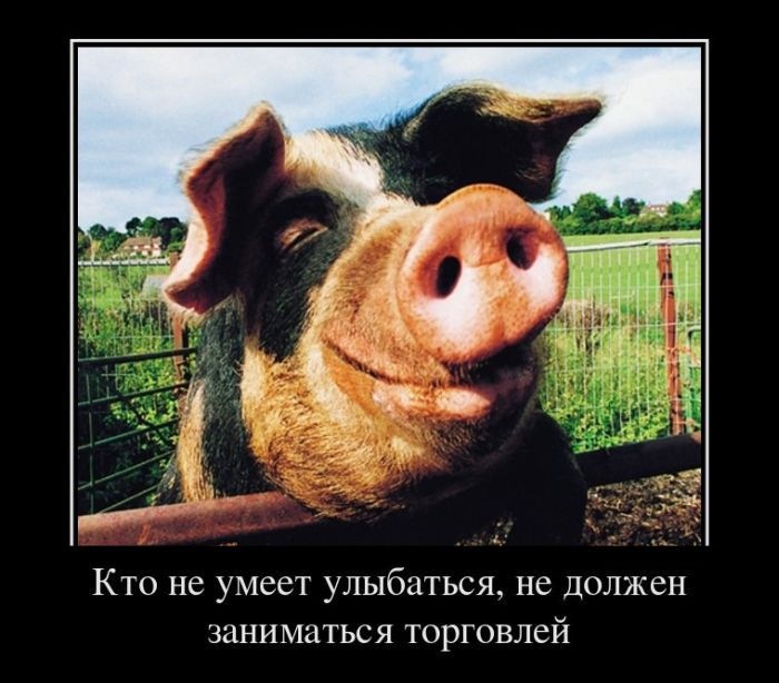 Вел Вел фотография #47