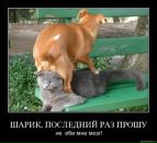 Иван Друковский фотография #47 (источник - https://vk.com/id545338)