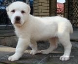 Марінка Поліщук фотография #42 (источник - https://vk.com/id20772178)