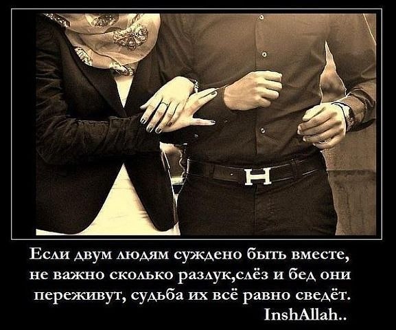 №19, Айша Камолова №19, Айша Камолова