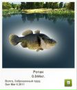 Славік Хомів фотография #2 (источник - https://vk.com/id37153317)