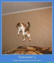 Фотография Кошатницы Котьки