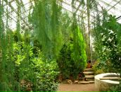 Alexey Dushen фотография #46 (источник - https://vk.com/id670180)