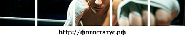 Андрій Богомолов фотография #2 (источник - https://vk.com/id147708238)