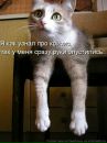Олег Балашовець фотография #36 (источник - https://vk.com/id136957719)