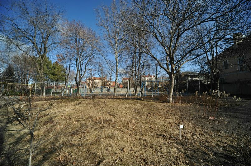 Иван Демидов фотография #46