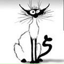 Фотография Гришин Владимир