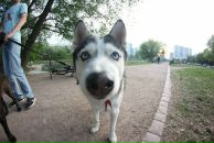 Фотография Павловны Настасьи