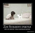 Фотография Столбовенко Ксюши