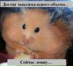 Фотография Константиновой Лидии