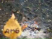 Фотография Николаева Вани