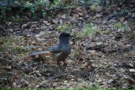 Фотография Радько Ольги