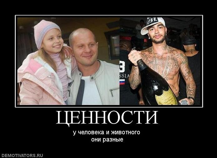 Антон Андреенко фотография #34