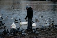 Ксения Василенко фотография #27 (источник - https://vk.com/id847167)