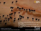 Дмитрий Иванов фотография #12 (источник - https://vk.com/id2797729)