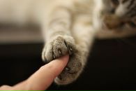 Машенька Темирова фотография #41 (источник - https://vk.com/id948324)