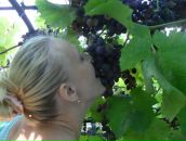 Фотография Лебедевой Кристины