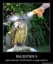 Фотография Туркатова Надежда