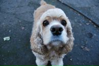 Фотография Киршенкова Василия