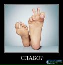 Фотография Леонидовны Елены