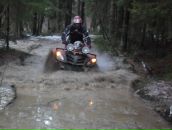 Фотография Веселова-Румянцева Дмитрия