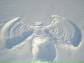 Фотография Новиковой Натальи