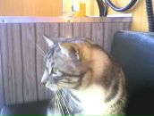 Фотография Сибирь Виктория