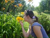 Фотография Логинов Денис