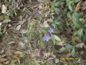 Ірина Сопік фотография #41 (источник - https://vk.com/id13713632)