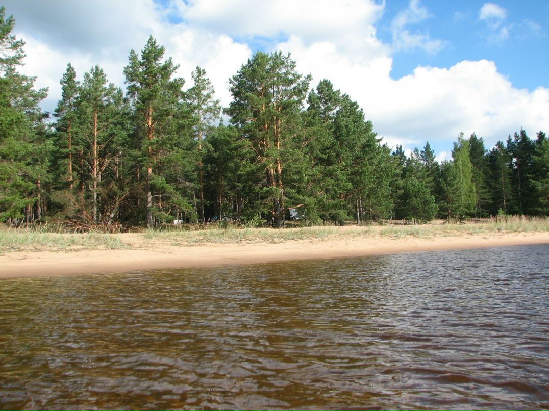 Николай Савельев фотография #2