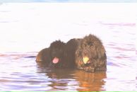 Фотография Князевой Анны