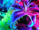 Фотография Скотниковой Оксаны