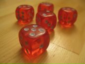 Фотография Лукашевой Дарьи