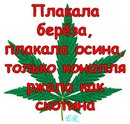 Вікуся Рудeнко фотография #6 (источник - https://vk.com/id154712350)