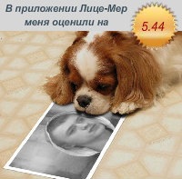 №11, Женя Смольный, 37 лет, Минск №11, Женя Смольный, 37 лет, Минск