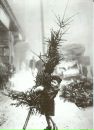 Фотография Бородина Кристина