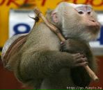 Сергей Гусев фотография #19 (источник - https://vk.com/id7057019)