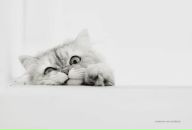 Фотография Миры Гражданки