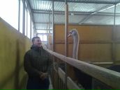 Фотография Сорокина Александра