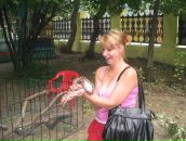 Фотография  